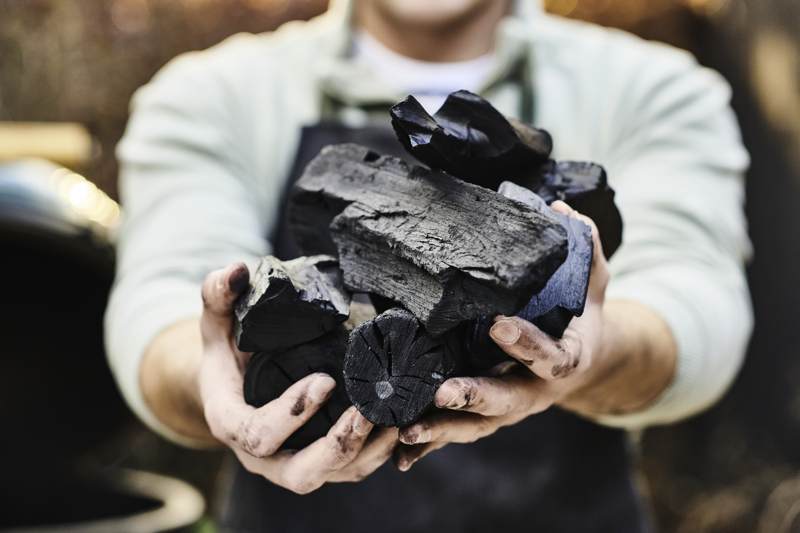 BGE PURE CHARCOAL 9,0 KG 