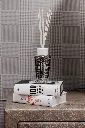 Diffuser My First Baobab Manhattan 1