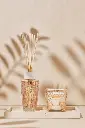 My First Baobab Gift Box Paris