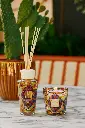 My First Baobab Gift Box Mexico