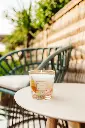 My First Baobab à Saint-Tropez