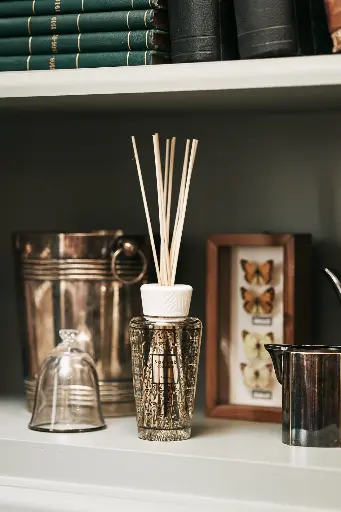 [DIF250MBRU] Diffuser My First Baobab Brussels