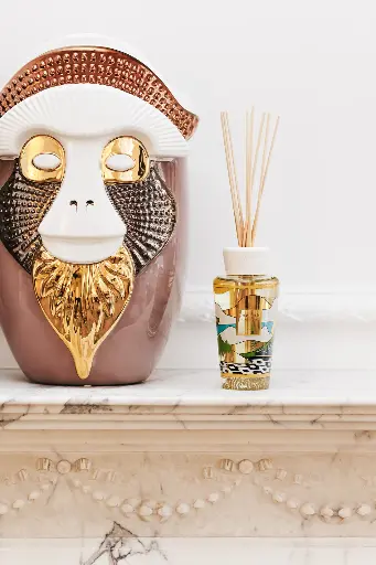 [DIF250MCRI] Diffuser My First Baobab Rio