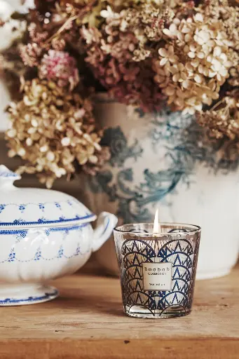 [MAX08MNY] My First Baobab Manhattan